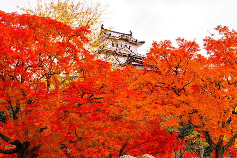 TOP 5 dei castelli giapponesi: dove sono e come raggiungerli