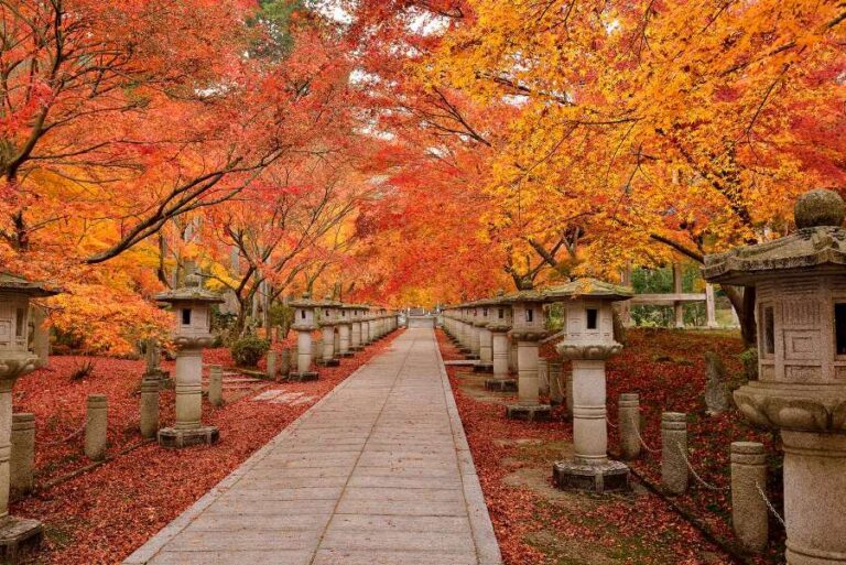 Top 5 dei luoghi per ammirare i colori dell’autunno in Giappone
