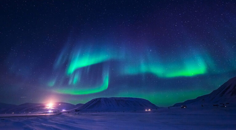 Artico: Il cuore caldo di un mondo freddo