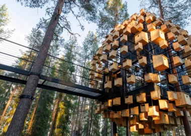 Treehotel_room_biosphere-2