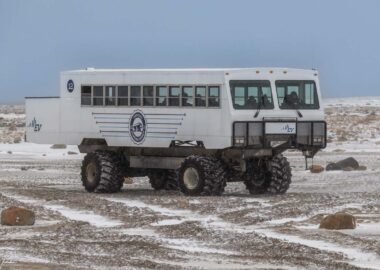 Churchill-Tundra-Buggy