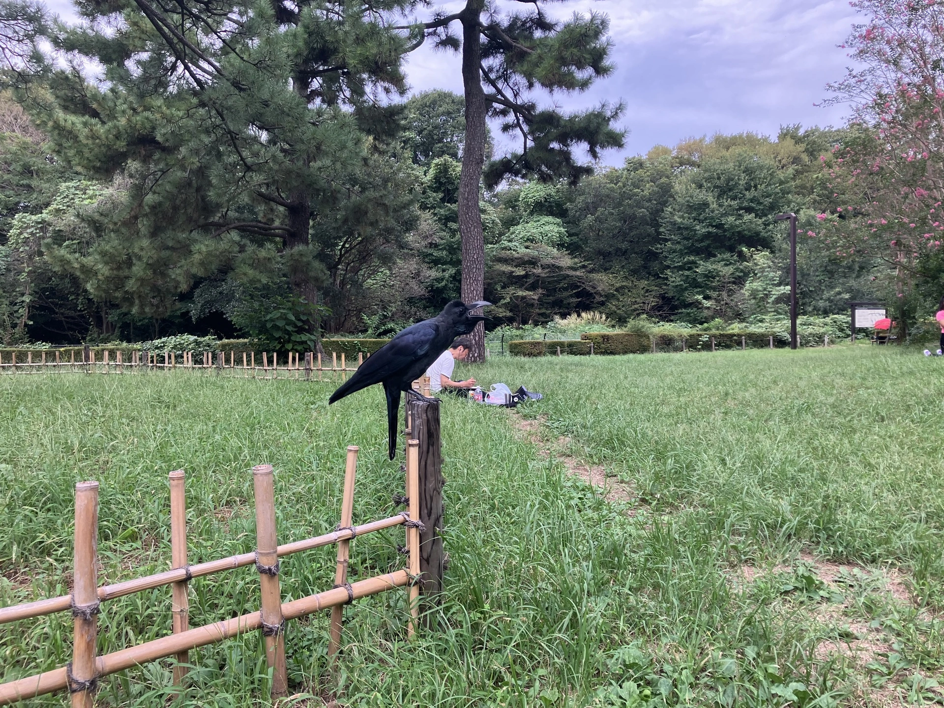 parco yoyogi tokyo