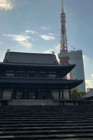 Giappone-tokyo-tempio-zojoji-tokyo-tower-blueberry